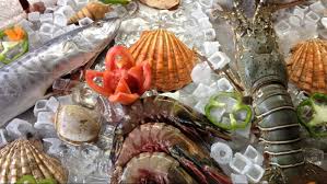 Crab supplier Singapore Crab Talk live seafood stall